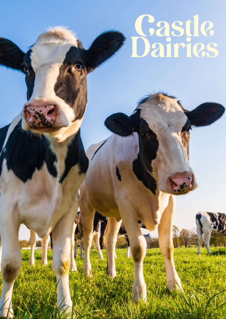 Happy Cows - Bovaer 10